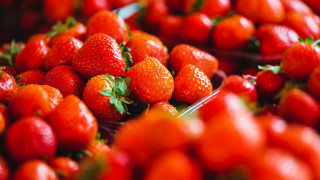 Strawberries bowl closeup blurry background - strawberry free wallpaper