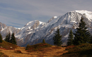 Mountain range snow trees trail - a trail in the foreground free wallpaper