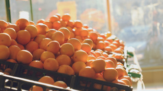 Oranges shelf store window ashbaugh - a window in the background free wallpaper