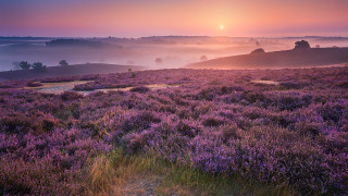 Sunset foggy hill path impressionist - a hill free wallpaper