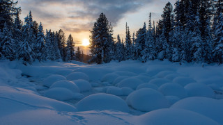 Snowy path trees sunset mountain - the cloud free wallpaper