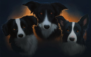 Three dogs orange eyes black - orange eye free wallpaper