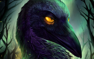 Yellow eyes owl forest night - itself free wallpaper