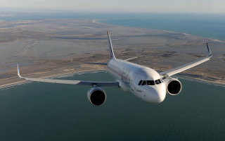 Jetliner over ocean beach town - free bird wallpaper