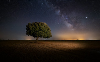 Lone tree night sky stars 2 - arthur b. carles free wallpaper