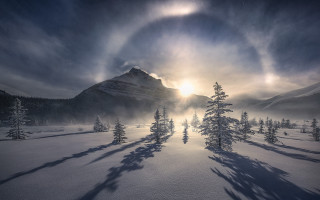 Snowy landscape mountains trees sunbeam - tree and mountains free wallpaper