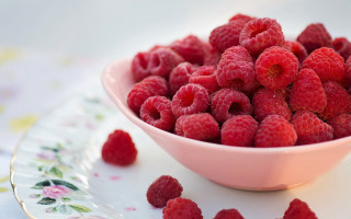 Raspberries plate closeup berry flower - eve disher free wallpaper