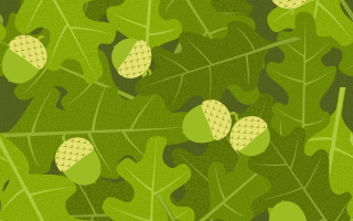 Green leaf yellow leaves leaf - a pattern of leaves free wallpaper for desktop