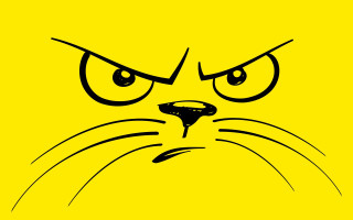 Yellow cat moon sunflower gradient - black ink free wallpaper