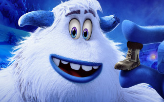 Furry shoe animal clouds realistic - a close up free wallpaper