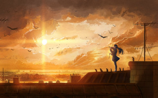 Woman rooftop birds sunset cityscape - a roof free wallpaper