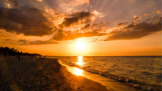 Sunset beach people birds sky - a sunset free wallpaper for desktop