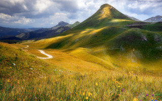 Grassy field dirt road mountain - a grassy field free wallpaper for desktop