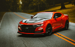 Red sports car forest road 7 - the hood free wallpaper for desktop