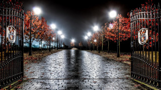 Brick walkway gate lights night - the ground and trees free wallpaper