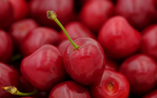 Cherry closeup blurry background macro - cherry free wallpaper