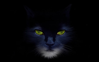 Black cat green eyes gothic 3 - on free wallpaper for desktop