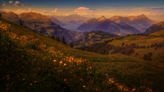 Mountain lake flowers autumn sunset - derold page free wallpaper for desktop