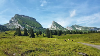 Grassy field mountains animals blue - cedric seaut free wallpaper for desktop