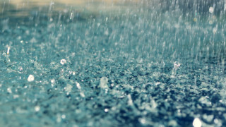 Rain shower water droplets close - water droplet free wallpaper