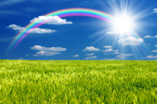 Rainbow green field sun blue - a bright sun in the background free wallpaper