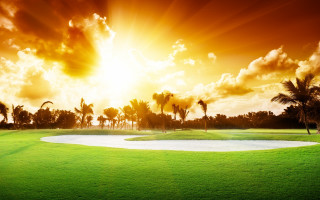 Golf course sand path palm - a golf course free wallpaper