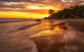 Sunset beach waves tree rock - wave free wallpaper for desktop