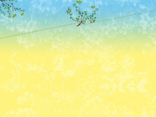 Bird wire yellow background glitch - a wire free wallpaper