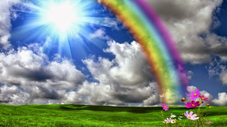 Rainbow flower sky sun mountains - a rainbow in the sky free wallpaper