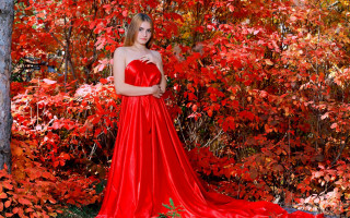 Red dress forest autumn leaves - red leaf free wallpaper for desktop