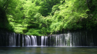 Waterfall forest stream trees nature - side and trees free wallpaper