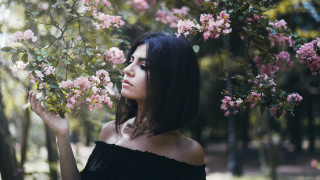 Woman black dress park pink - a park free wallpaper for desktop