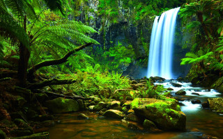Waterfall tropical forest rocks trees - the center of the picture free wallpaper