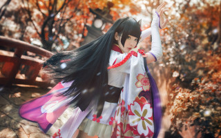 Dancing woman autumn leaves kimono - cosplay free wallpaper