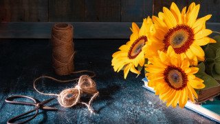 Sunflowers table book twine stilllife - anne rigney free wallpaper for desktop