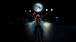 Teddy bear night red balloon - free dogs wallpaper