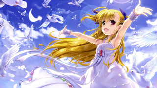 Girl white dress birds wings - a detailed drawing free wallpaper