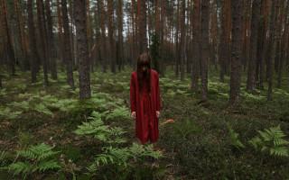 Woman red dress forest surreal - surreal free wallpaper