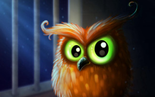 Owl glowing eyes long hair - the viewer free wallpaper