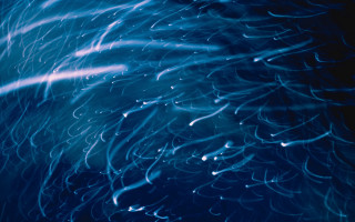 Blue background lines light shining - bruce munro free wallpaper