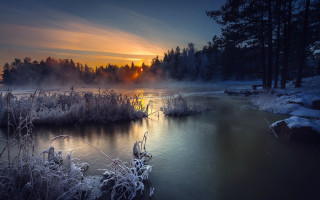River sunset fog trees ice - ice free wallpaper