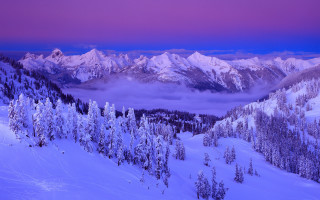 Snowy mountain purple sky trees - a snowy mountain free wallpaper