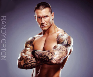 Tattooed man arms crossed posing - arm free wallpaper for desktop