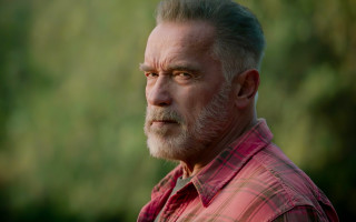 Bearded man red shirt hologram - arnold free wallpaper