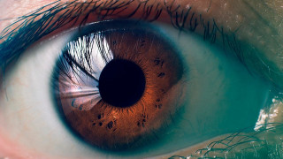 Eye brown iris macro photorealism - christian w. staudinger free wallpaper