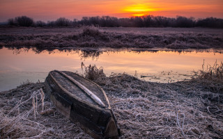 Lake shore sunset forest city - frosty free wallpaper
