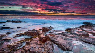 Sunset ocean rocks water pink 2 - colorful cloud free wallpaper