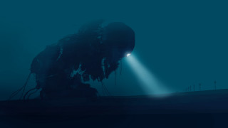 Elephant field light shining person - a large elephant free wallpaper