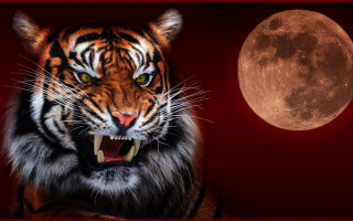 Tiger fullmoon gothic redframe digital - a red frame free wallpaper for desktop