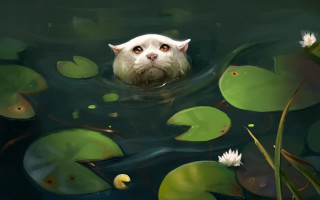 Cat swimming pond lilies fantasy - alejandro burdisio free wallpaper